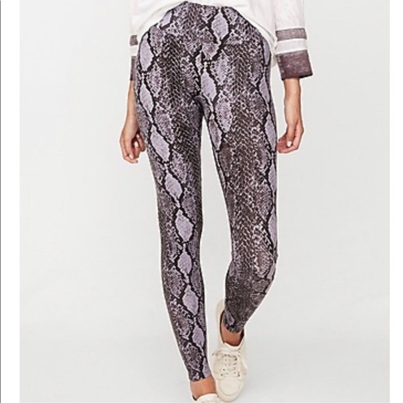 Express Pants - Express snakeskin leggings